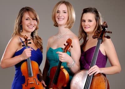 Flower Trio Wedding 3 Piece String Section